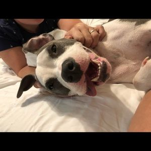 Meet your Posher, Lydia